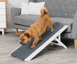 Rampa de altura ajustable para ayudar al perro a subir al sofá o la cama - Trixie